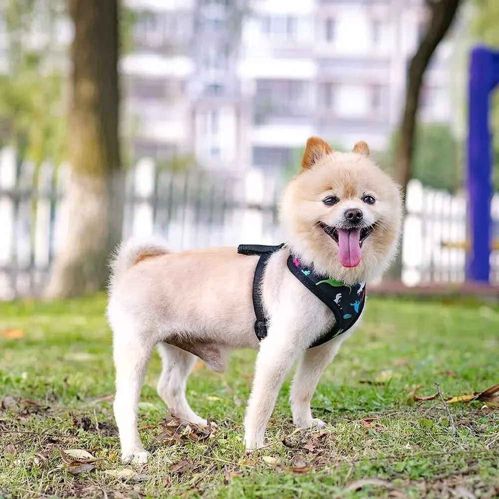 Small Dog Harness - No Pull & No Choke Dog Vest Harness w/ Neck Adjustable Cute